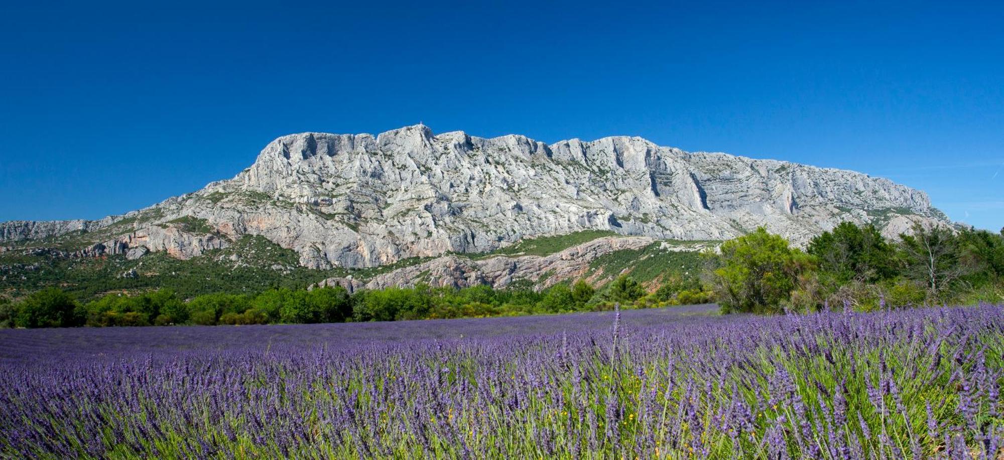 Roucas - Sud Passion - Calme - Fibre Lägenhet Marseille Exteriör bild